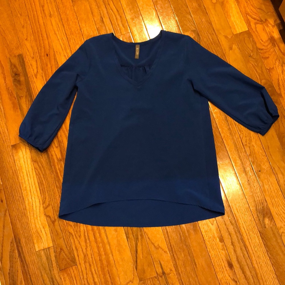Allison Joy Blue Blouse